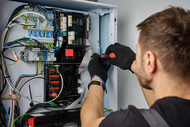 Licensed Electrical Panel Upgrade service in Luna Pier, MI - No Joke electrician